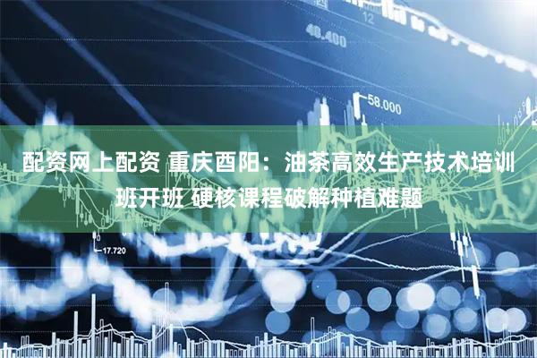 配资网上配资 重庆酉阳：油茶高效生产技术培训班开班 硬核课程破解种植难题