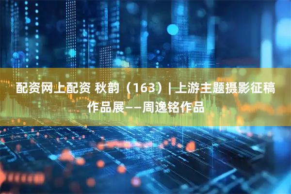 配资网上配资 秋韵（163）| 上游主题摄影征稿作品展——周逸铭作品
