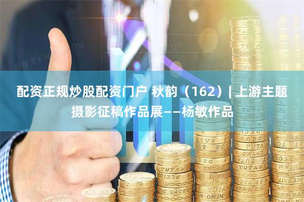 配资正规炒股配资门户 秋韵（162）| 上游主题摄影征稿作品展——杨敏作品