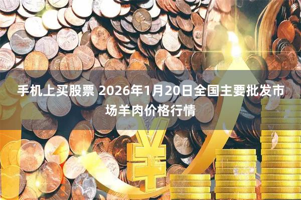 手机上买股票 2026年1月20日全国主要批发市场羊肉价格行情