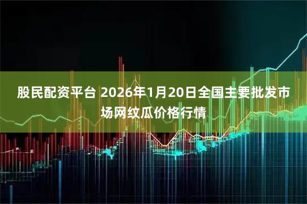 股民配资平台 2026年1月20日全国主要批发市场网纹瓜价格行情