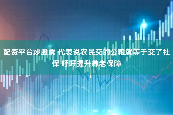 配资平台炒股票 代表说农民交的公粮就等于交了社保 呼吁提升养老保障